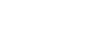 Steev